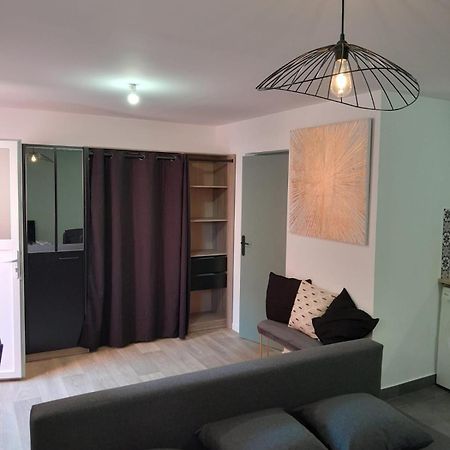 Appartement Proche Gare Сен-Бриё Экстерьер фото